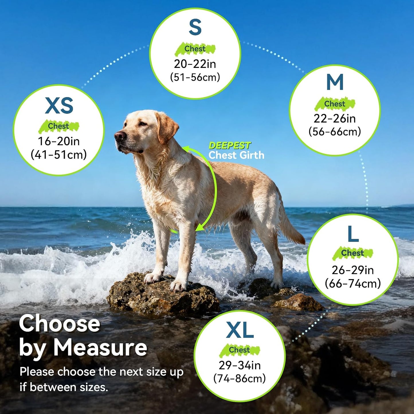 Dog Life Vest Neoprene Dog Swim Vest, XS, Alpha Yellow | High Visibility Adjustable for Doggy Cat Puppy, Lifejacket with Leash Ring & Handle for Swimming & Boating