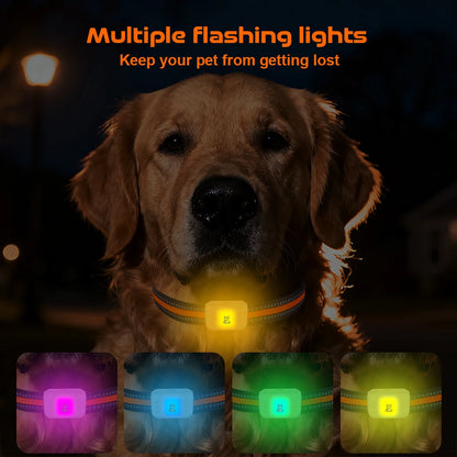 4G Dog GPS Tracker Smart Collar for Pets Dogs Cats No Monthly Fee No Subscription No Hidden Fees Anti-Lost Alarm & Geo-Fence