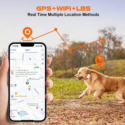 4G Dog GPS Tracker Smart Collar for Pets Dogs Cats No Monthly Fee No Subscription No Hidden Fees Anti-Lost Alarm & Geo-Fence